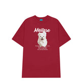 Áo Thun Maltese